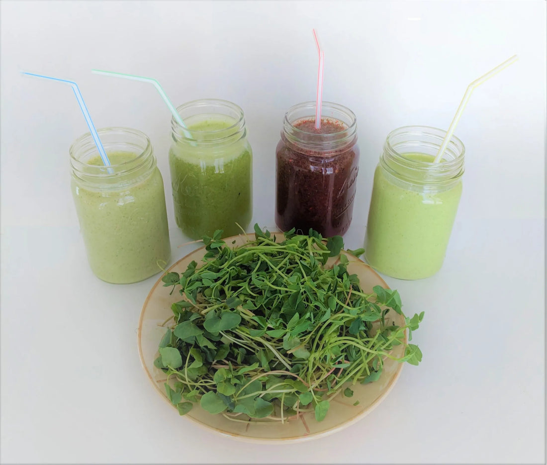 Adding Microgreens to Fruit Smoothies