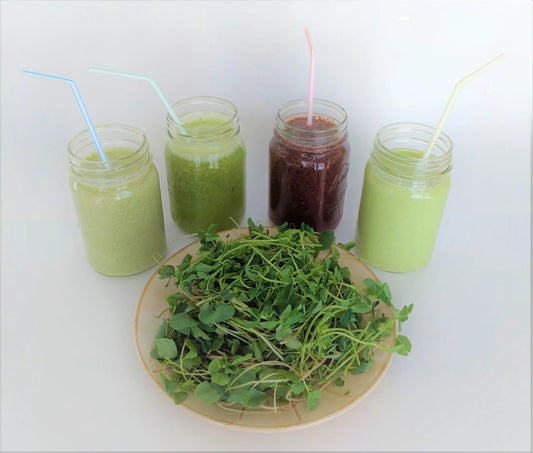 Adding Microgreens to Fruit Smoothies